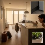  plecat în vacanță și ai găsit insecte când te-ai întors? Ce s-a întâmplat cât timp casa a fost goală
